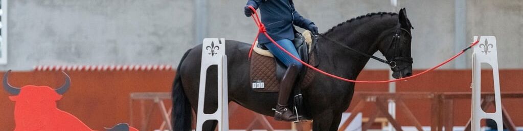Working Equitation met Henri Jacobsen