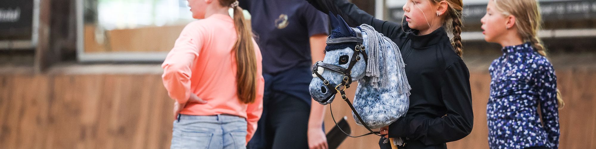 Hobby Horse les