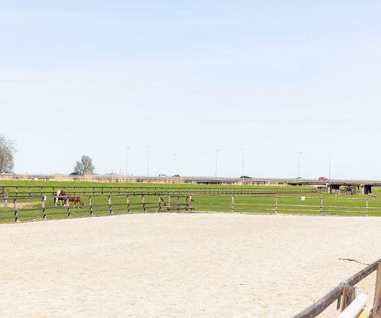 /files/Accomodatie/Manege/l-booister-20260406-1469.jpg